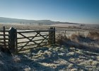 Frosty gate and White Edge